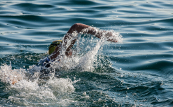 Nafplio Triathlon_3