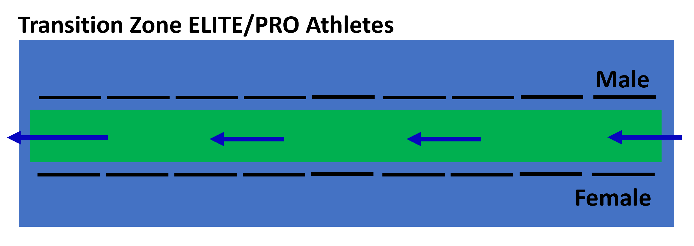 TZ Elite Athletes