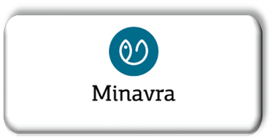 mINAVRA bRONZE